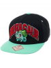 Gorra bordado 3D Pikachu - Bulbasur