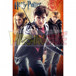 Póster Harry Potter 7 - Trio 61x91.50cm