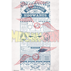 Póster Harry Potter - Quidditch at Hogwarts 61x91.50cm