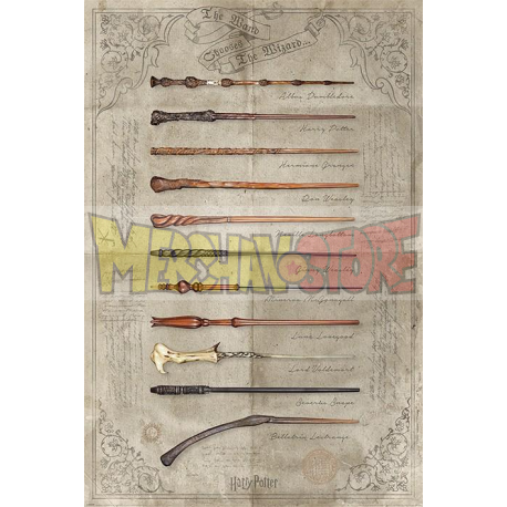 Póster Harry Potter - The Wand Chooses The Wizard 61x91.50cm