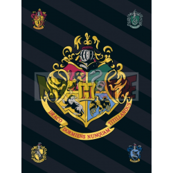 Manta polar Harry Potter 100x140cm