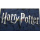 Camiseta infantil Harry Potter azul con logo plaetado 10 años 140cm