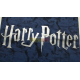 Camiseta infantil Harry Potter azul con logo plaetado 13 años 158cm