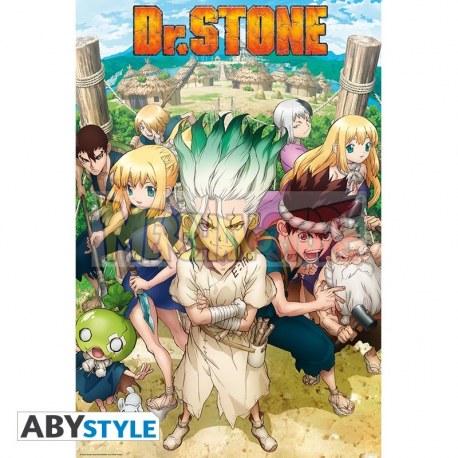 Póster Dr. Stone - Grupo 91.50x61cm