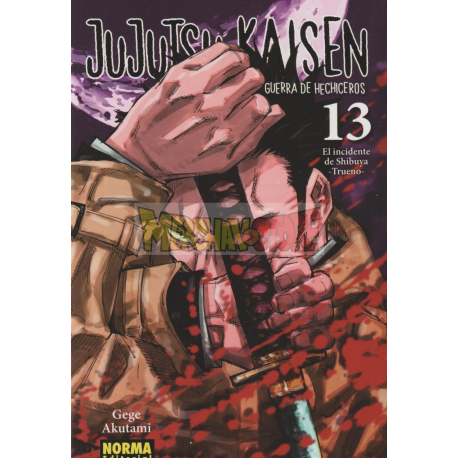 Cómic Jujutsu Kaisen 13