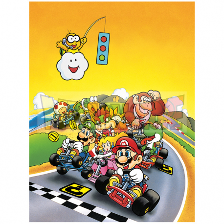 Lienzo Super Mario Kart 30x40cm