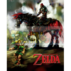 Póster 3D Zelda - Link & Ganondorf 23,5 x 28,5cm con marco