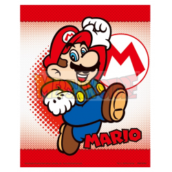 Póster 3D Super Mario - Mario / Yoshi 23,5 x 28,5cm con marco