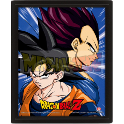 Póster 3D Dragon Ball Z - Protectors & Destroyers 23,5 x 28,5cm con marco