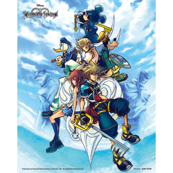 Póster 3D con marco Kingdom Hearts - Bound by Destiny 23,5 x 28,5cm