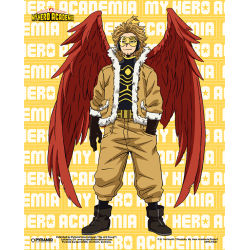 Póster 3D con marco My hero Academia - Hawks 23,5 x 28,5cm