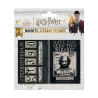 Set de 2 imanes Harry Potter - Azkaban Prisoner