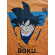 Camiseta niño Dragon Ball - Goku naranja 4 años 104cm