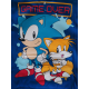 Sudadera infantil con capucha Sonic - Game Over azul 8 años 128cm