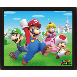 Póster 3D Super Mario - Mario, Luigi, Princesa Peach y Toad 23,5 x 28,5cm con marco