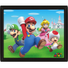 Póster 3D Super Mario - Mario, Luigi, Princesa Peach y Toad 23,5 x 28,5cm con marco