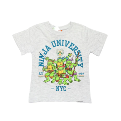 Camiseta niño Tortugas Ninja - Ninja University gris 8 años 128cm