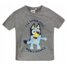 Camiseta Bluey gris 4 años 104cm CONFECCIONADA CON MATERIALES RECICLADOS